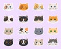 Set of kawaii stickers with ÃÂute cats faces. Design concept kids print. Royalty Free Stock Photo